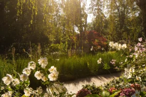 Garden path curving around lake and planting — award winning UK landscape photography.