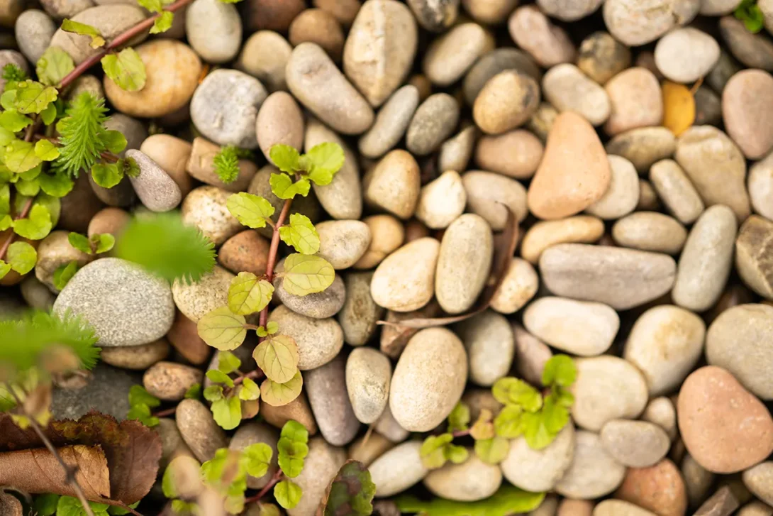Selected natural stones and grasses framing the garden lake — UK landscape photography.