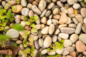 Selected natural stones and grasses framing the garden lake — UK landscape photography.