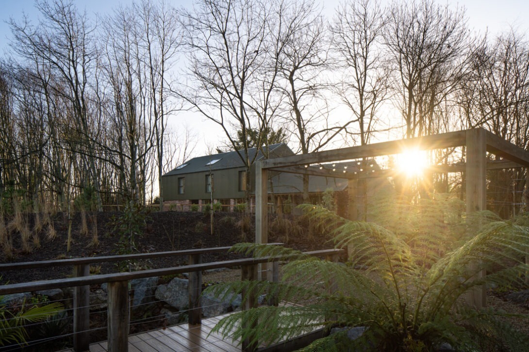Modern countryside home with green corrugated cladding and brick walls captured in soft morning light — contemporary architecture by Nest Architects.
