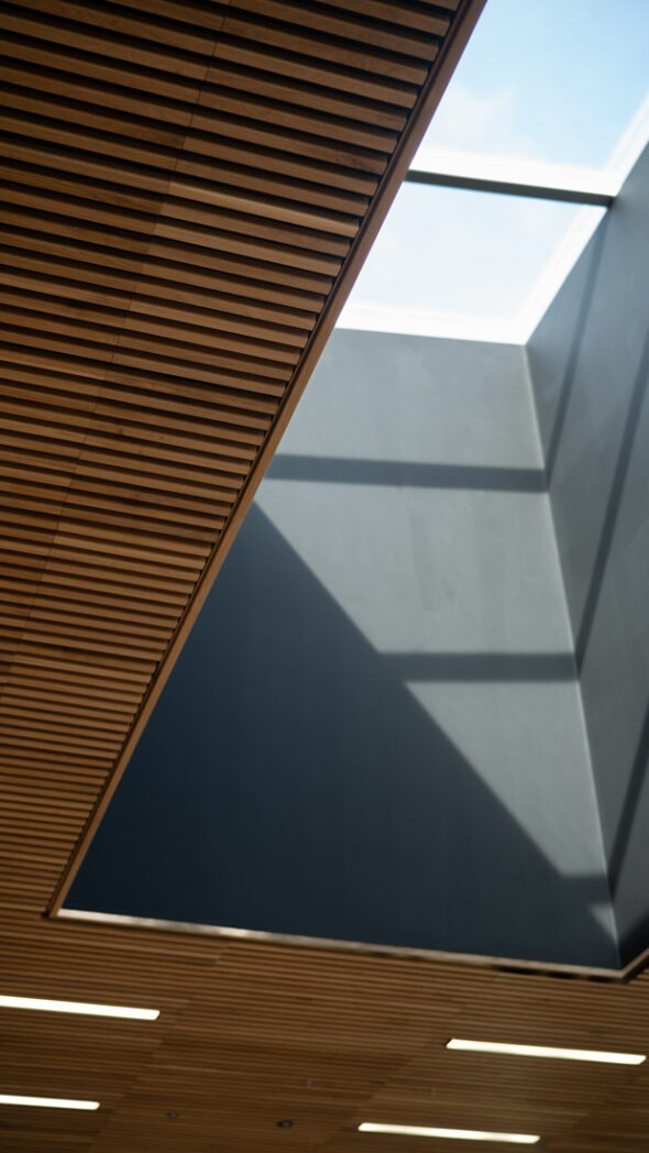 Contemporary circulation space at AMIC featuring timber finishes and modern architectural detailing.